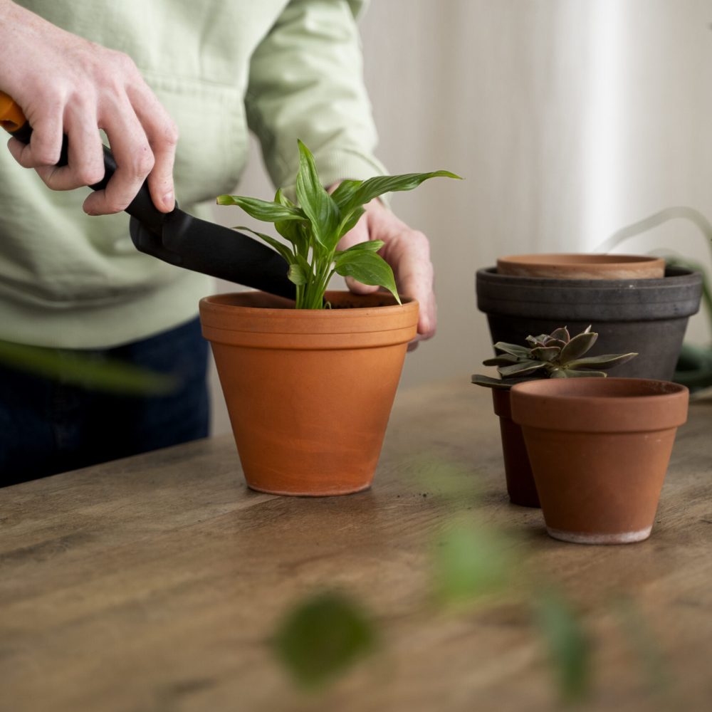 person-transplanting-plants-new-pots
